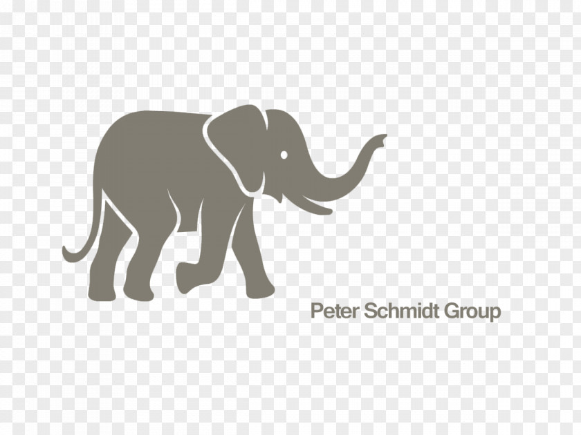 Design Logo Peter Schmidt Group Business Brand PNG