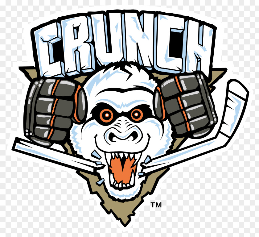 Hockey Oncenter War Memorial Arena Syracuse Crunch American League Anaheim Ducks PNG