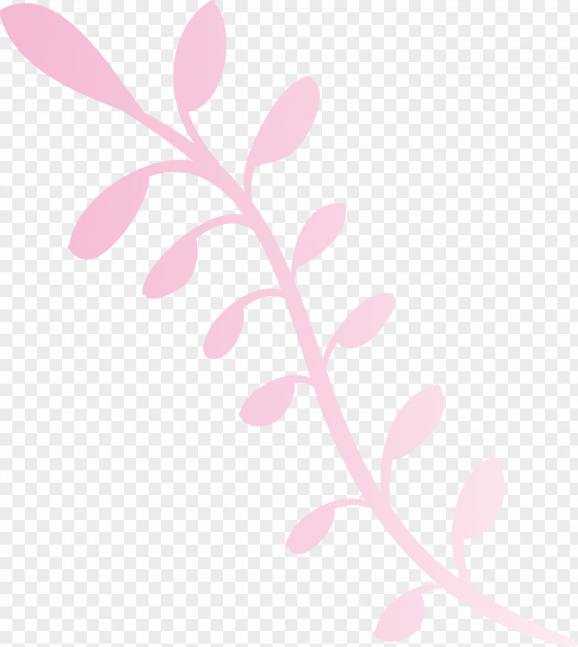 Leaf Plant Stem Twig Petal Flower PNG