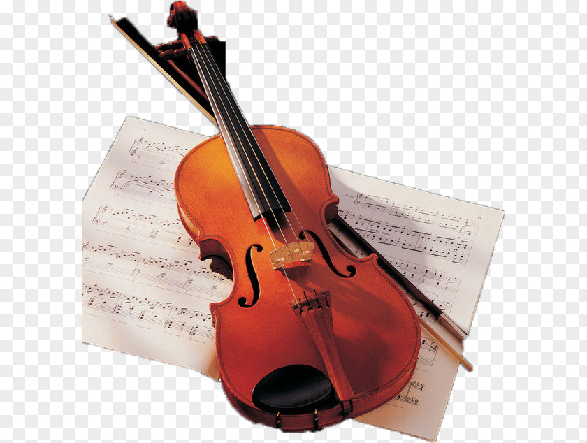 Lovely Violin Musical Instrument Cello Viola PNG