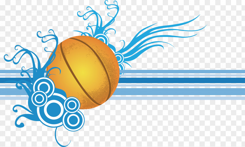 Basketball Euclidean Vector PNG