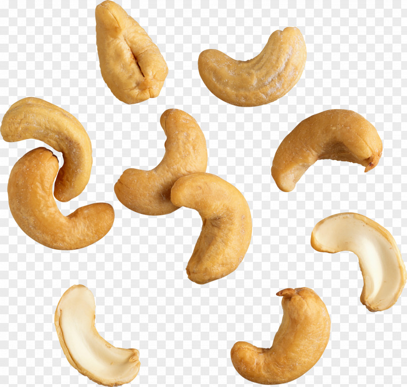 Cashew PNG clipart PNG