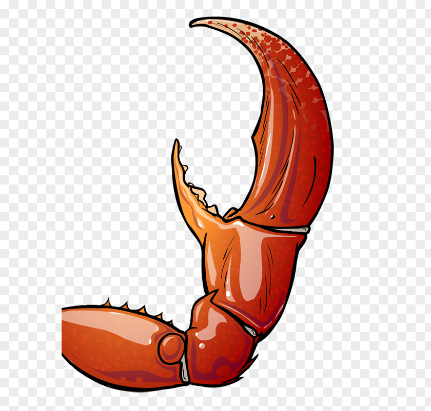 Claw Snow Crab Drawing Clip Art PNG