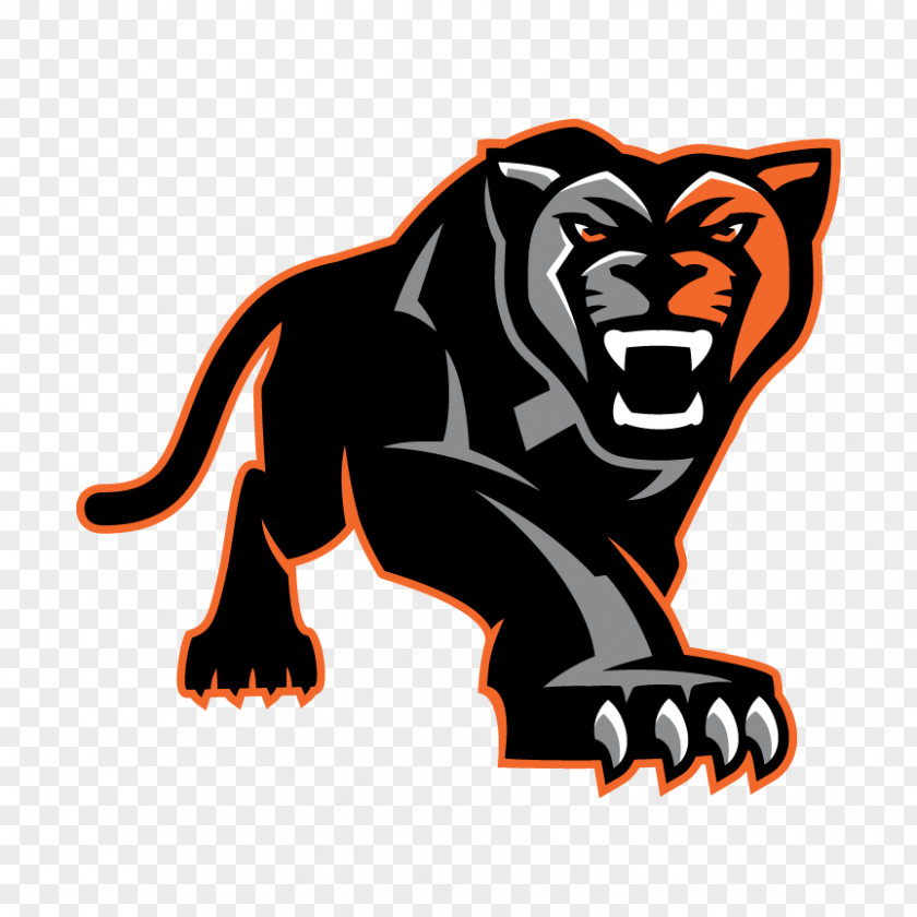 Gray Panther Orange High School National Secondary North Pitt PNG