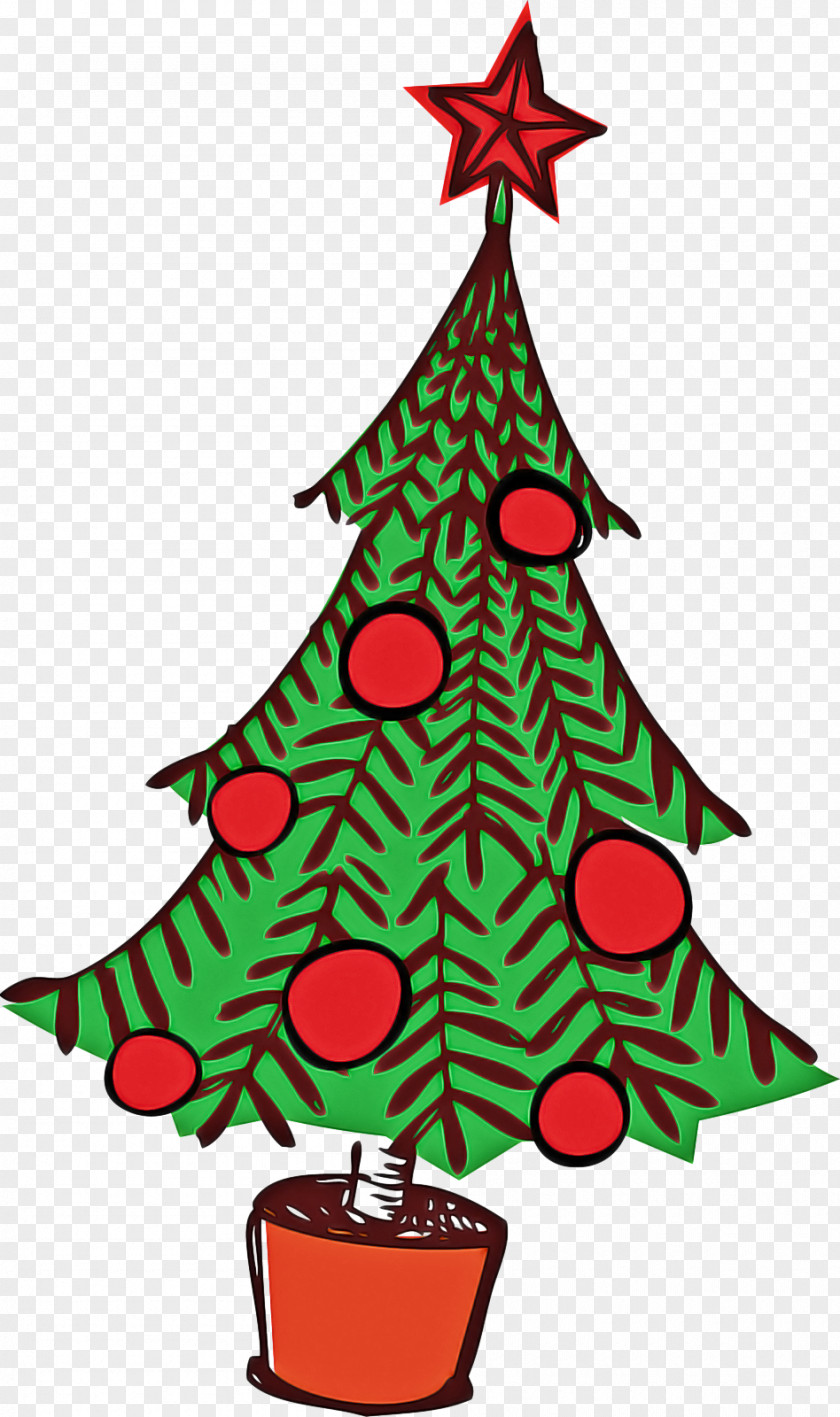 Holly Spruce Family Tree Design PNG