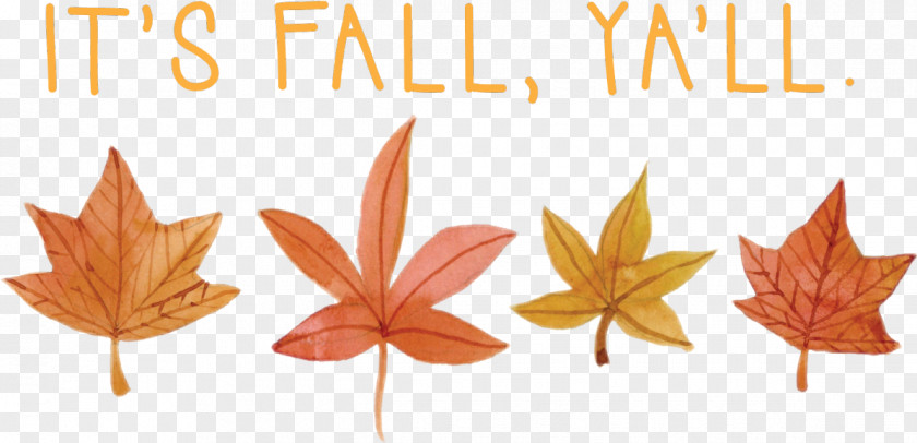 Pile Of Leaves Maple Leaf Graphics Line Font PNG