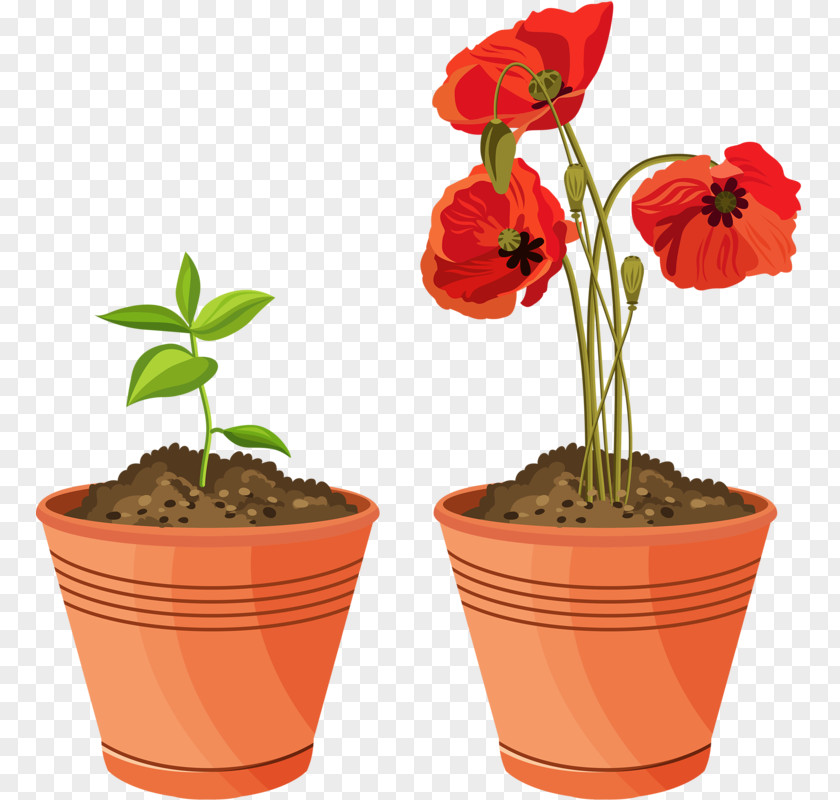 Plants Clip Art Flowerpot Houseplant Flowering Pot Garden PNG