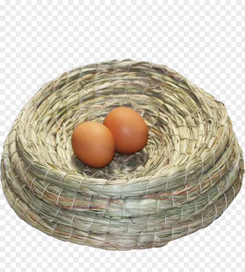 Two Nest Eggs Edible Birds Egg PNG