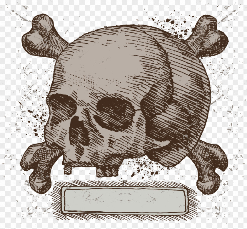 Vector Hand-painted Skull Input Box U9ab7u9ac5 Illustration PNG