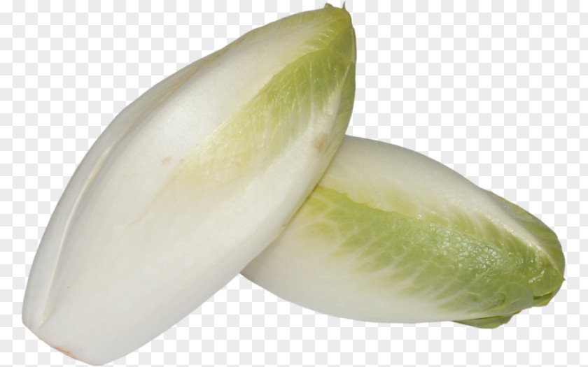 Vegetable Chicory Image Endive PNG