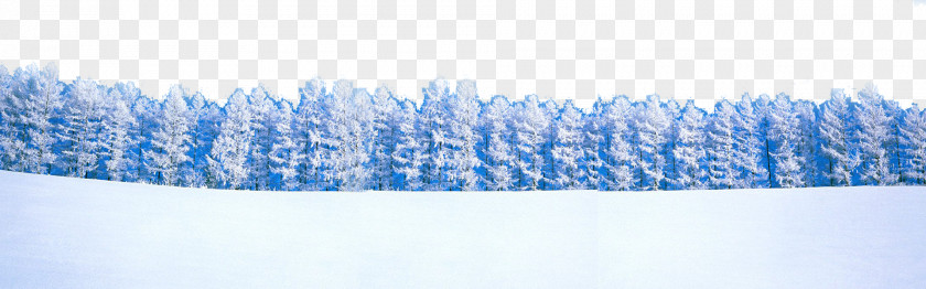 Winter Landscape Snow PNG