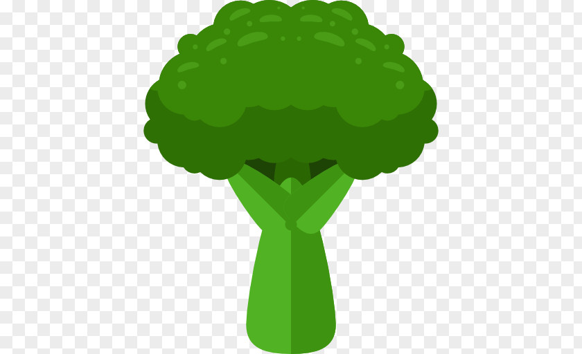 Cauliflower Broccoli Icon PNG