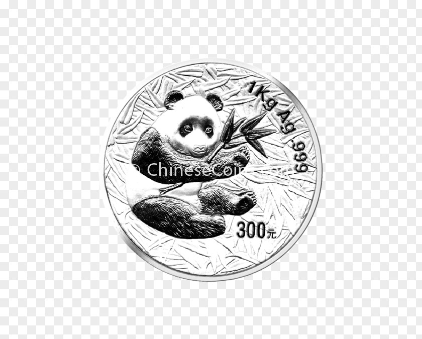 China Coin Chinese Silver Panda Giant PNG