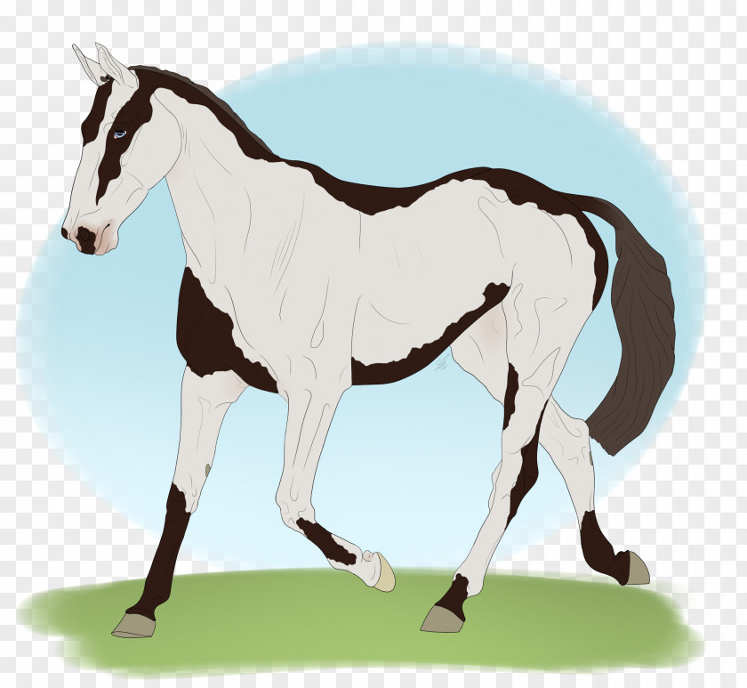 Mustang Stallion Foal Mare Colt PNG