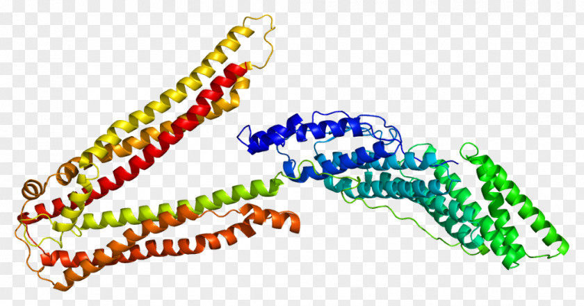 PDCD6IP Protein Cell Gene Prion PNG