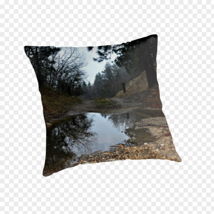 Puddle Throw Pillows Cushion PNG