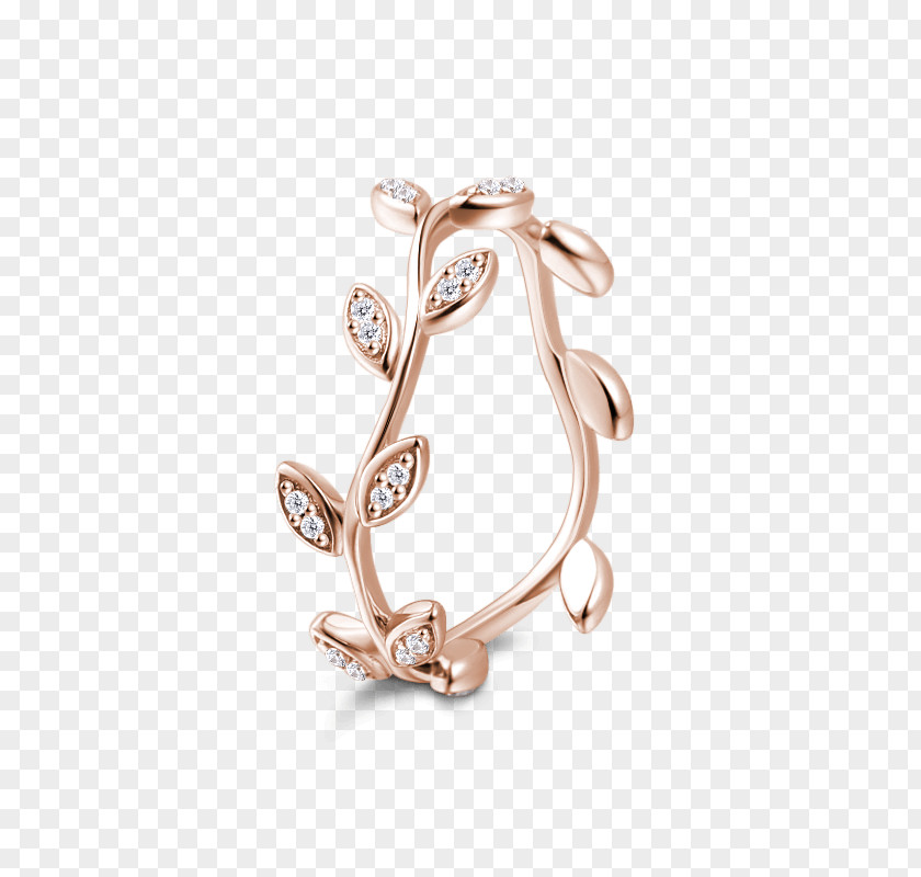 Ring Earring Silver Gold Eternity PNG