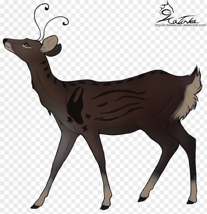 Sika Deer Elk Reindeer DeviantArt PNG