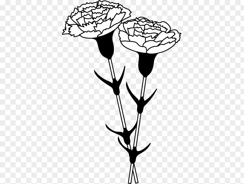 Carnation Flower Black And White Monochrome Painting Clip Art PNG