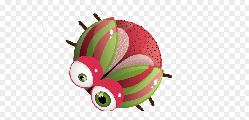 Ladybug Insect Ladybird T-shirt PNG