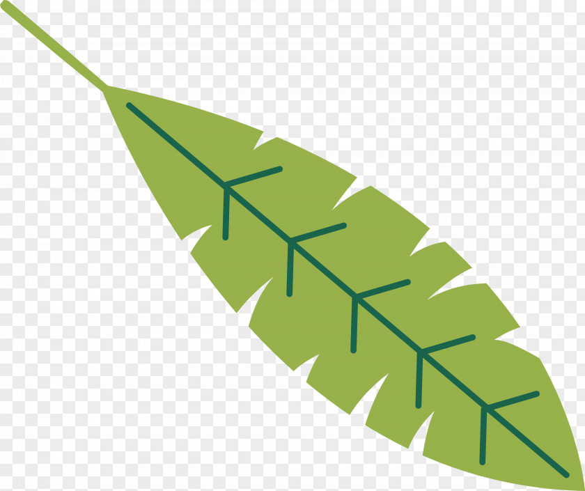 Leaf PNG