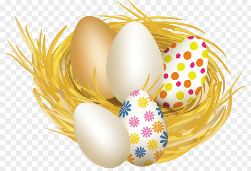 Lent In Mexico Easter Egg Illustration Vector Graphics PNG