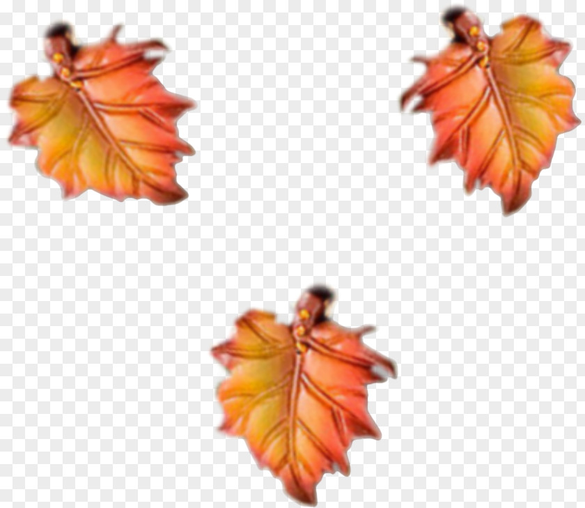 Orange Maple PNG