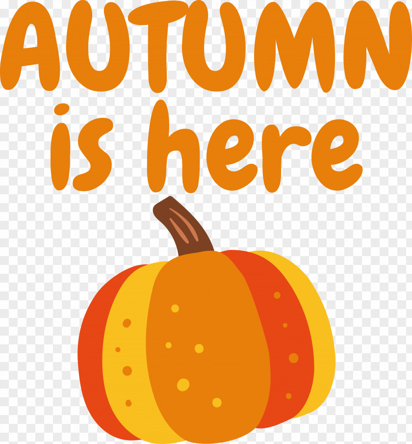 Pumpkin PNG