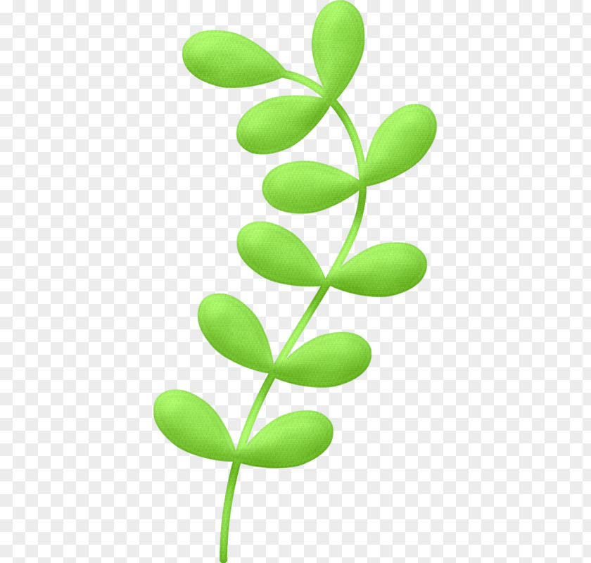 Seasweed Ornament Clip Art Image Drawing Animation PNG