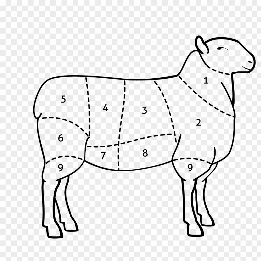 Sheep Cattle Lamb And Mutton Mustang Bear PNG