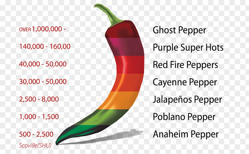 Bell Pepper Watercolor Chili Jalapeño Cayenne Scoville Unit PNG
