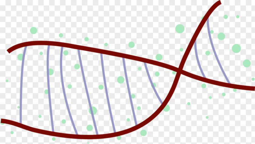 Dna Vector Circle Diagram Point Angle Clip Art PNG