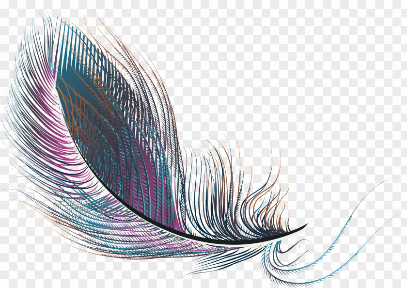 Exquisite Purple Feathers Feather PNG