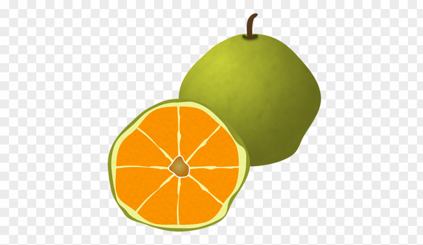 Fruit Ugli Food Grapefruit Orange PNG