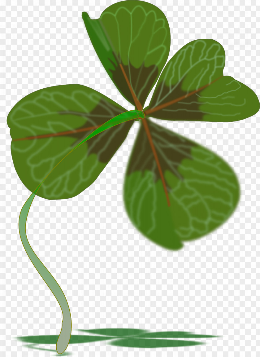 Hand-painted Clover Four-leaf Plant Shamrock Luck PNG
