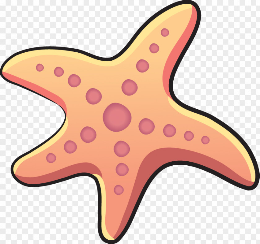 Starfish Cartoon Download PNG