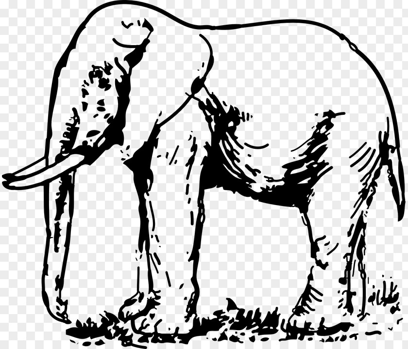 Thai Elephant Asian Drawing Black And White Clip Art PNG