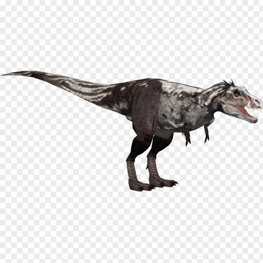 Tyrannosaurus Zoo Tycoon 2 Wikia Velociraptor PNG