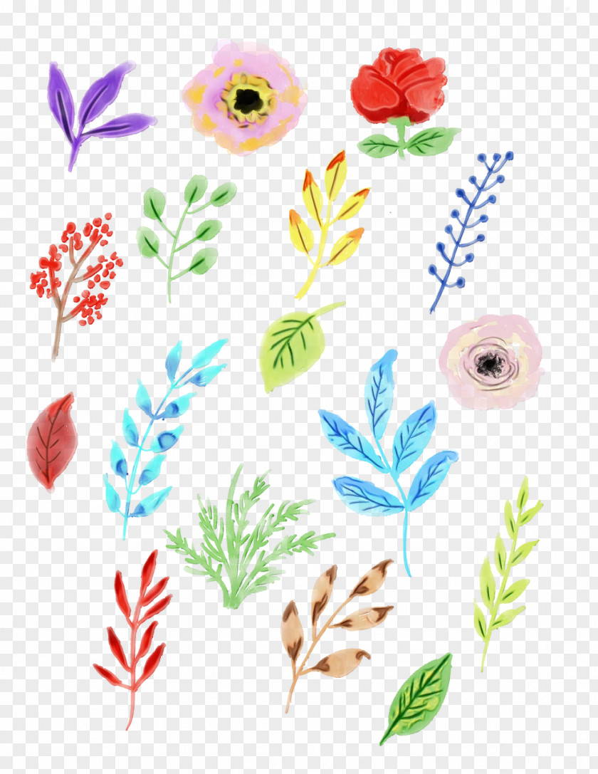 Watercolor Painting Floral Design Illustration Image Drawing PNG