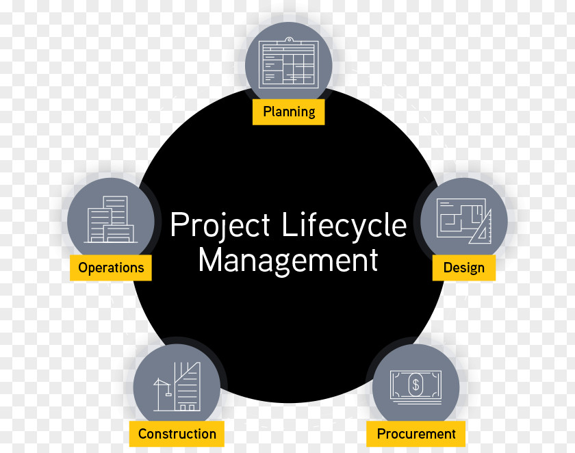 Business Project Management Computer Software Organization PNG