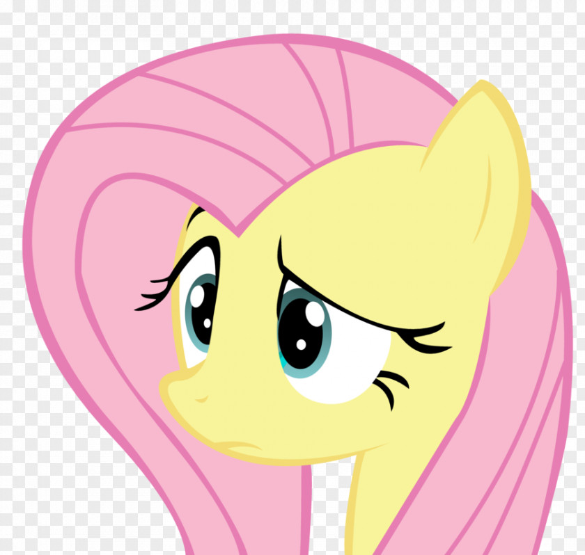 Fluttershy Angry Face Rainbow Dash Derpy Hooves Applejack Rarity PNG