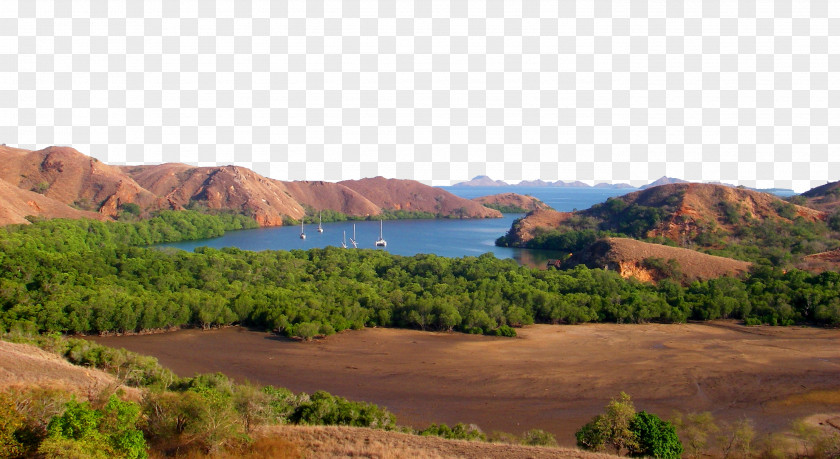 Indonesia Komodo National Park Pictures Flores Pink Beach Sumbawa PNG