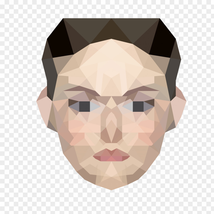 Low Poly Nose Jaw PNG