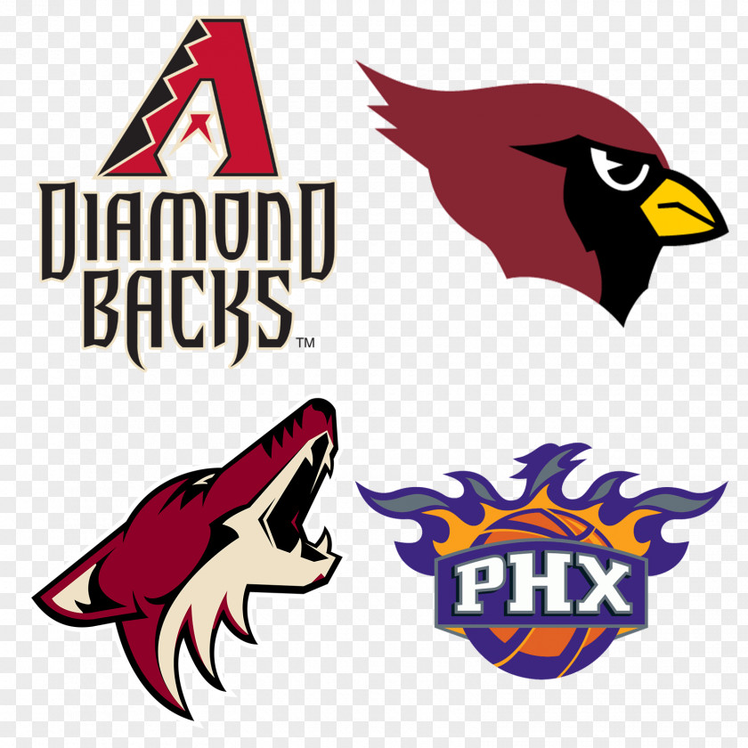 Phoenix Suns Talking Stick Resort Arena NBA Logo Basketball PNG