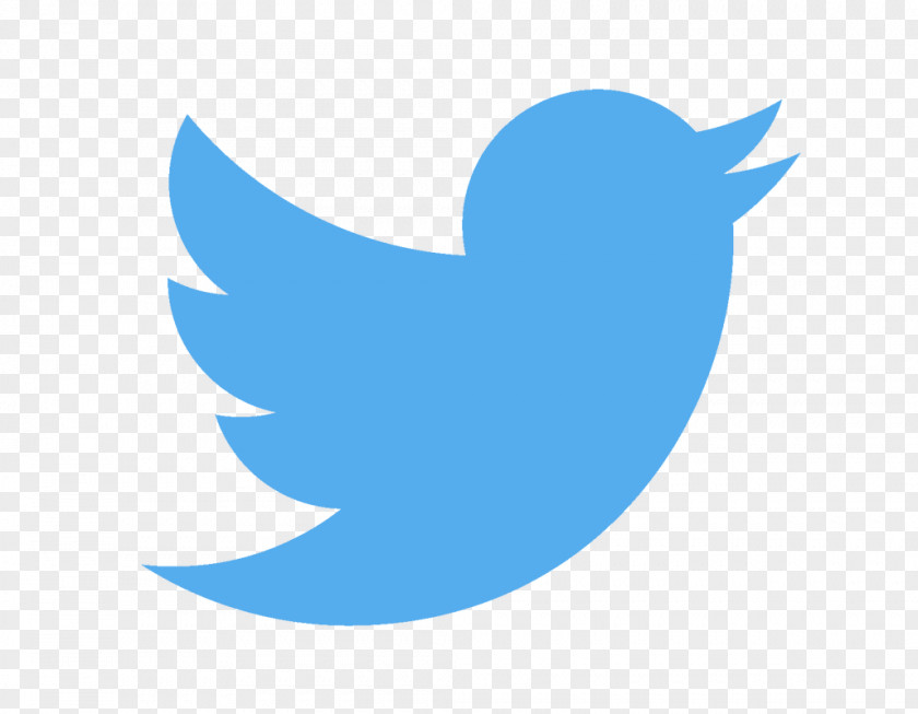 Twitter United States Social Media News Business Advertising PNG