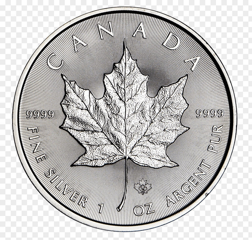 Coin Silver Leaf PNG
