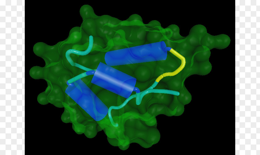 Human Biology Discipline Green Natural Science PNG