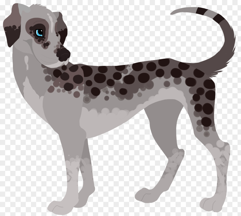 LANI Dog Breed Italian Greyhound Dalmatian PNG