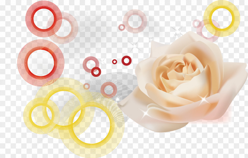 White Roses Beach Rose Pink PNG