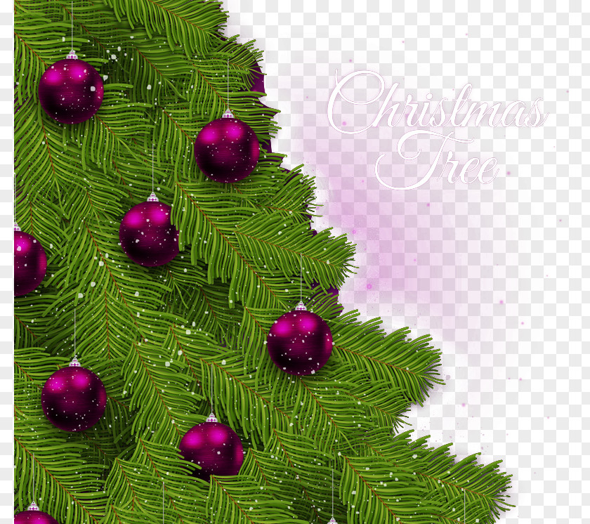 Beautiful Christmas Tree Greeting Card PNG